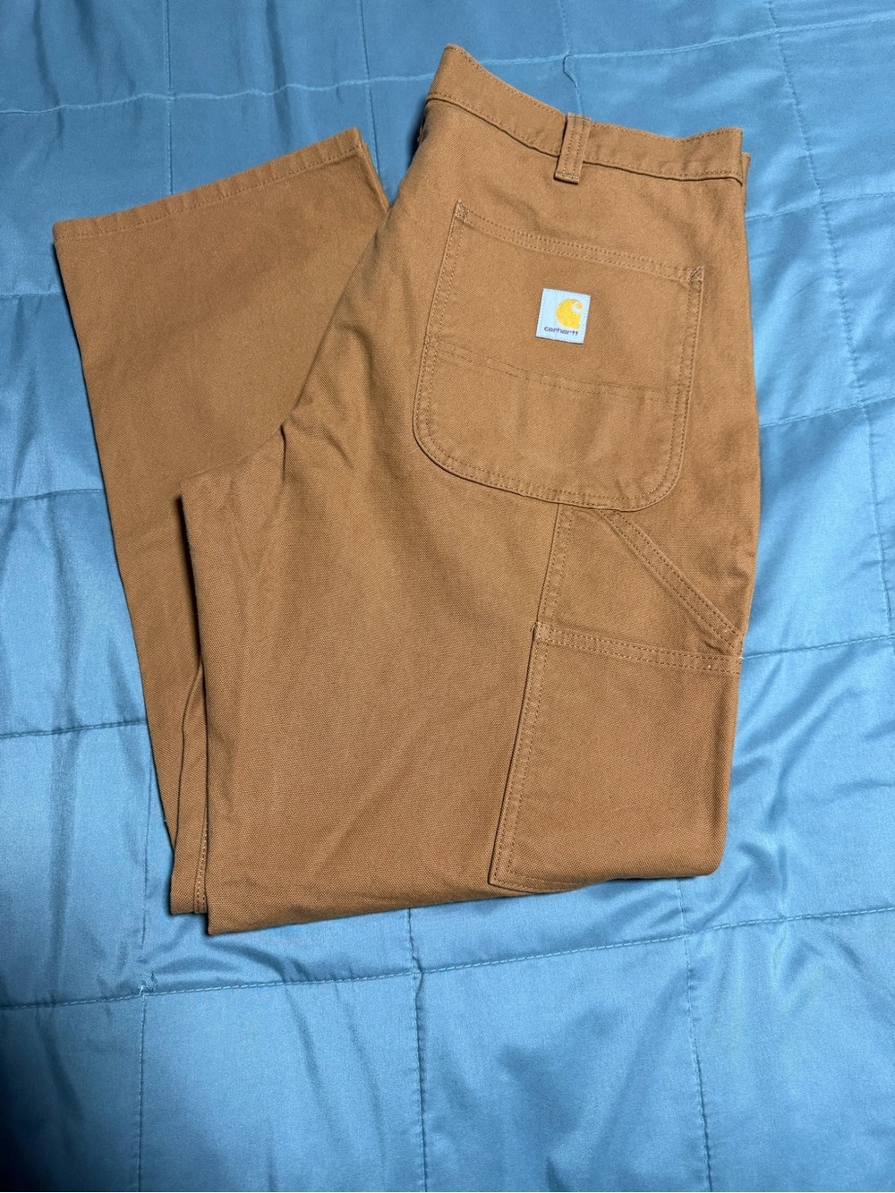 Carhartt Men’s Brown Workwear Cargo Pants